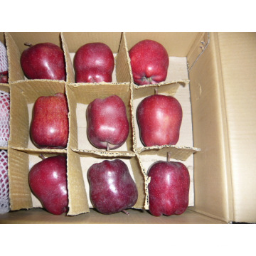 2015 Nuevo Cultivo Fresco Huaniu Apple